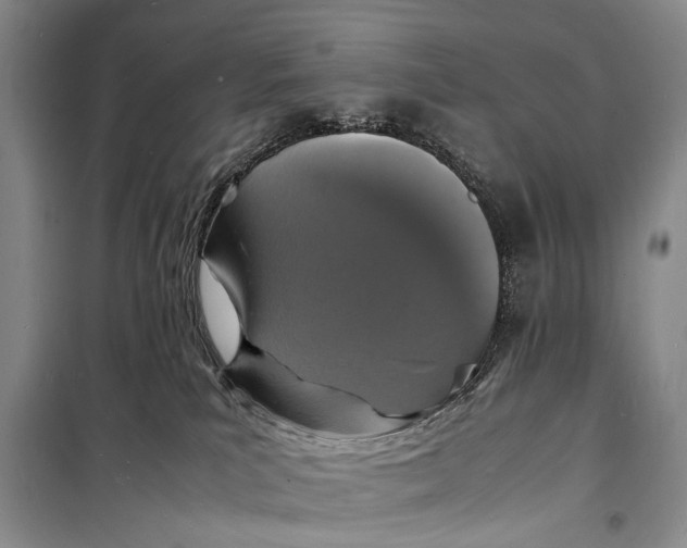 X0000098180039200805151151