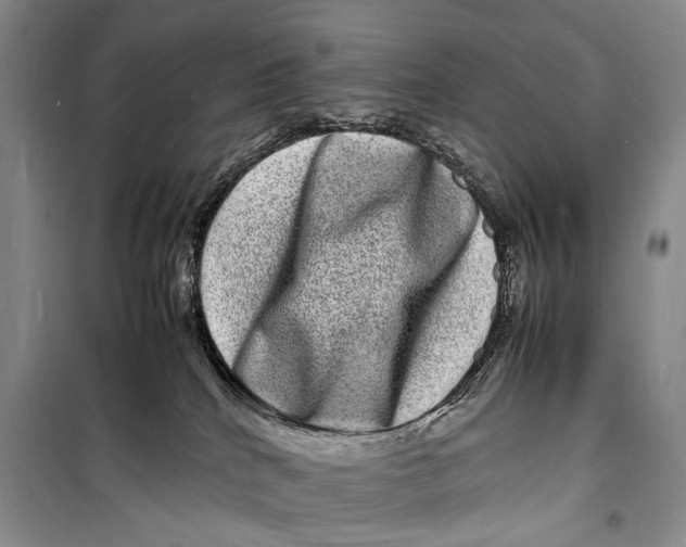 X0000098180040200805151151