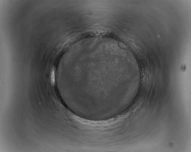 X0000098180042200805151151