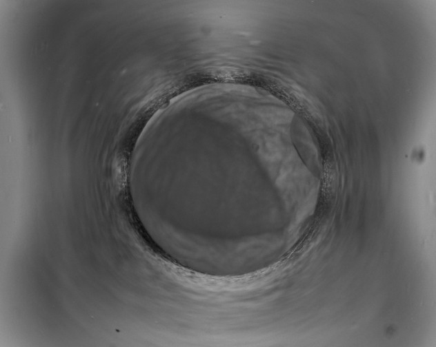 X0000098180043200805151150