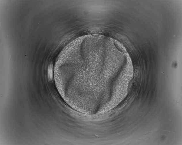 X0000098180046200805151150