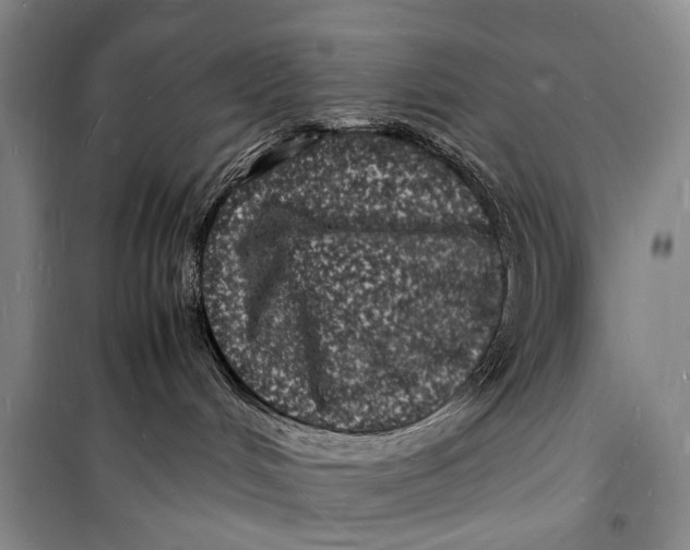 X0000098180048200805151150