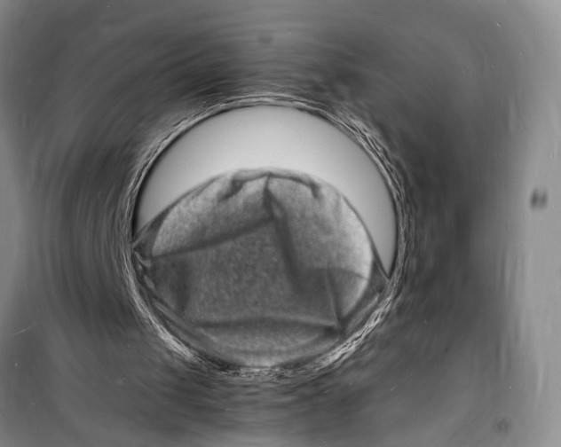 X0000098180049200805151150