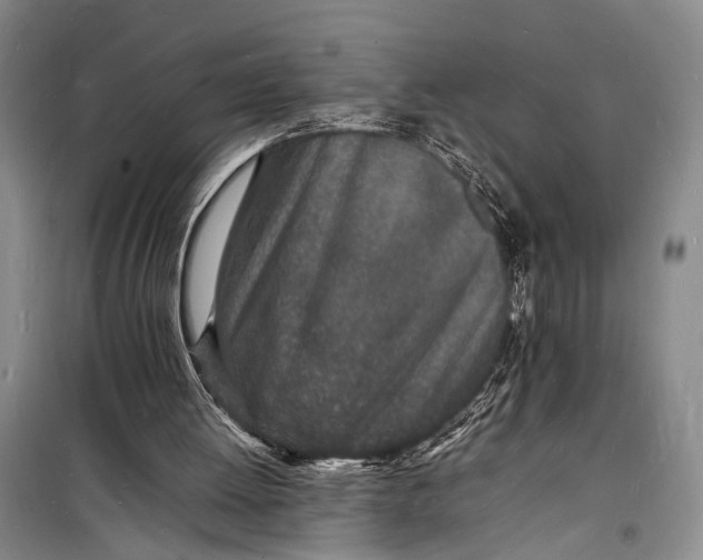 X0000098180052200805151150