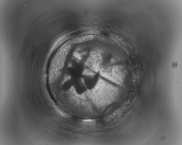 X0000098180053200805151150