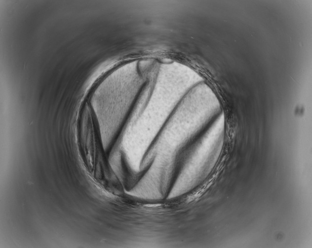 X0000098180054200805151150