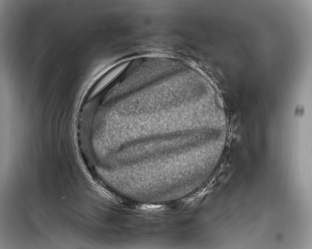 X0000098180055200805151150