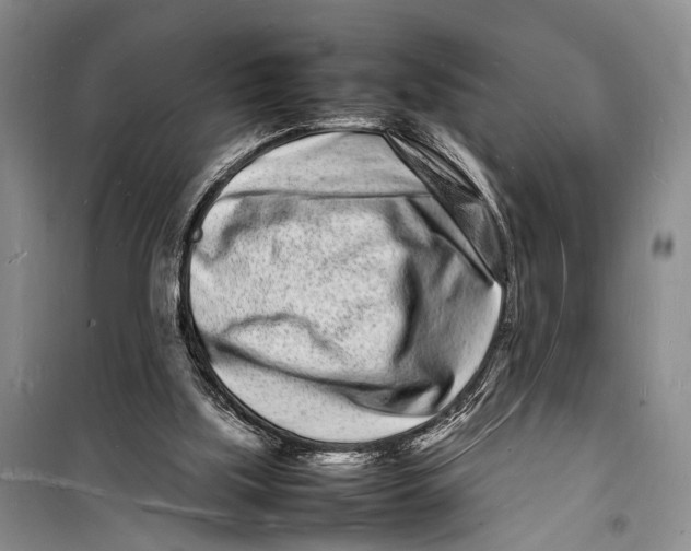 X0000098180059200805151150