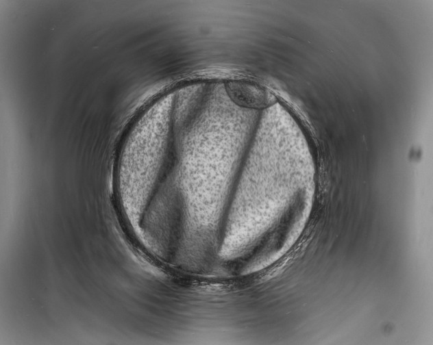 X0000098180062200805151150