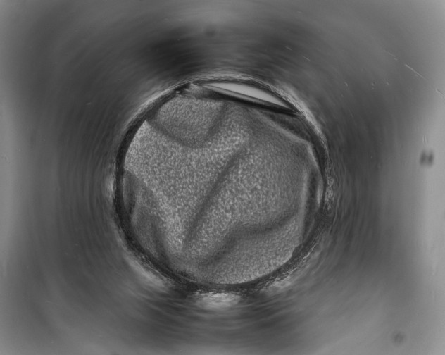 X0000098180063200805151150