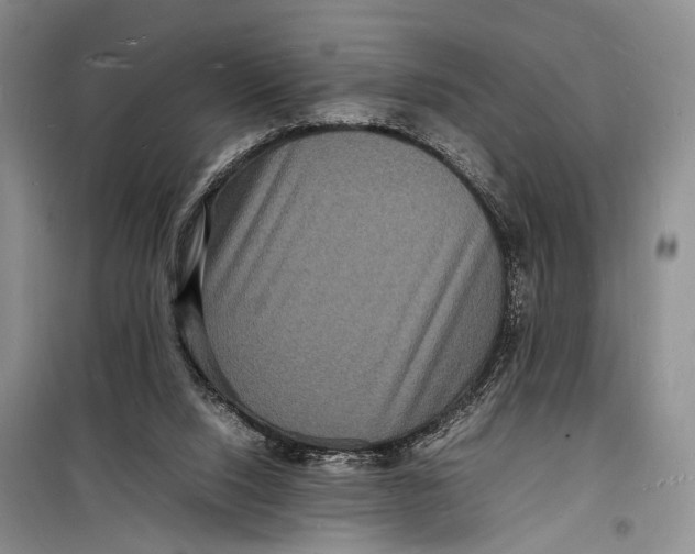 X0000098180064200805151150