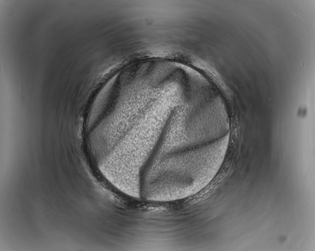 X0000098180066200805151150