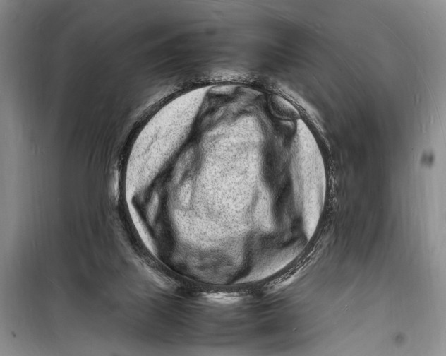 X0000098180067200805151150