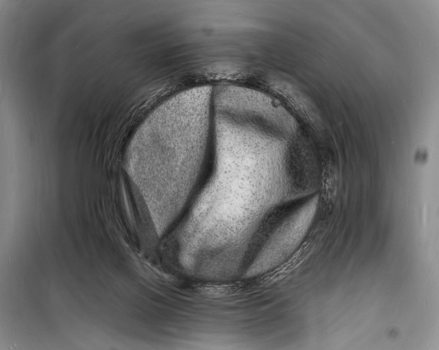 X0000098180070200805151150