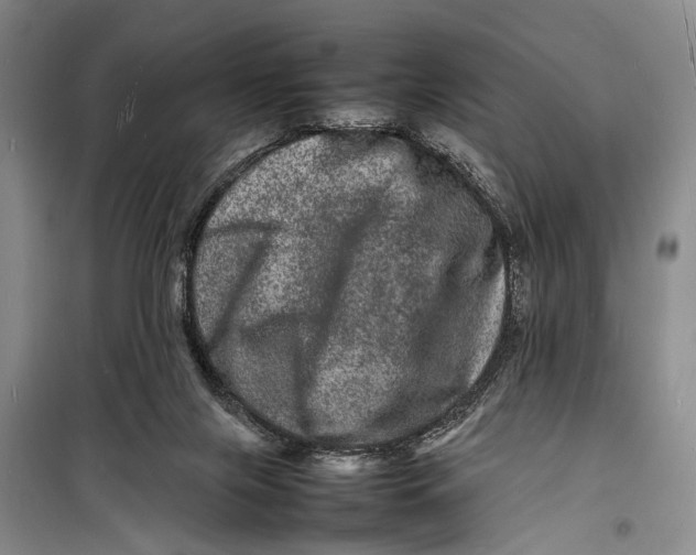 X0000098180071200805151150