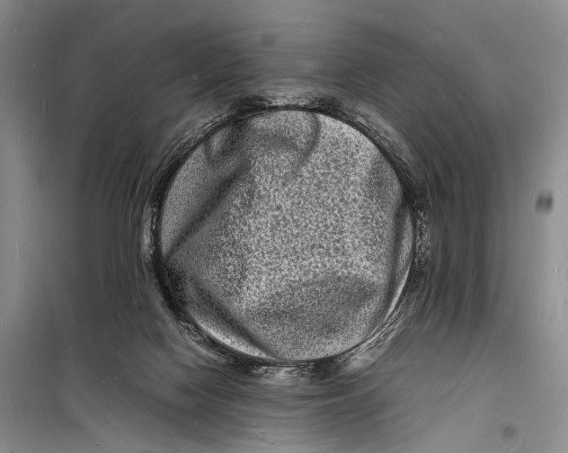 X0000098180074200805151150