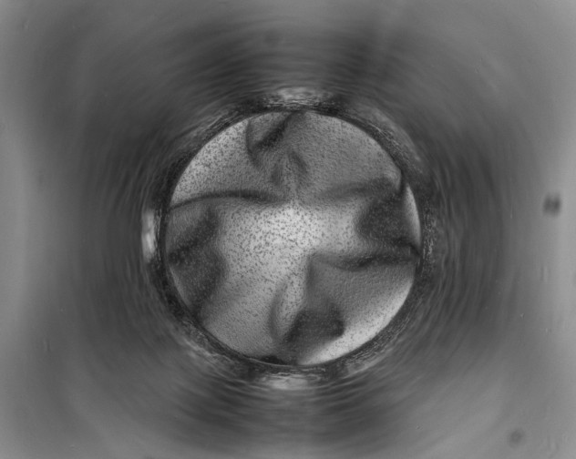 X0000098180075200805151150