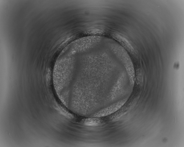 X0000098180077200805151150