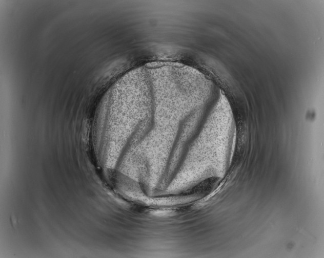 X0000098180078200805151150