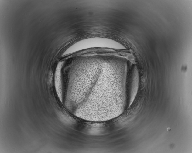 X0000098180081200805151150