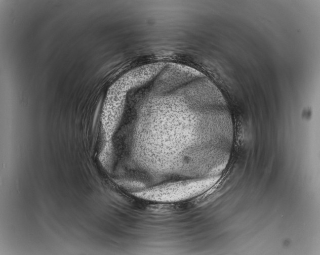 X0000098180082200805151150