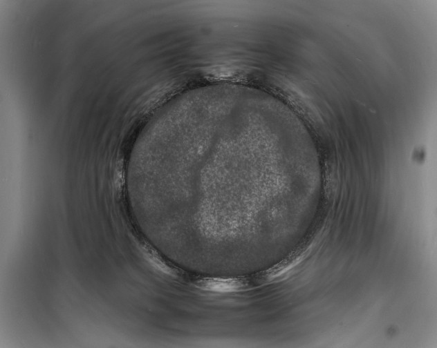 X0000098180085200805151150