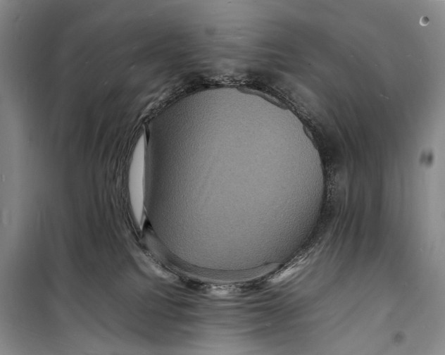 X0000098180088200805151150