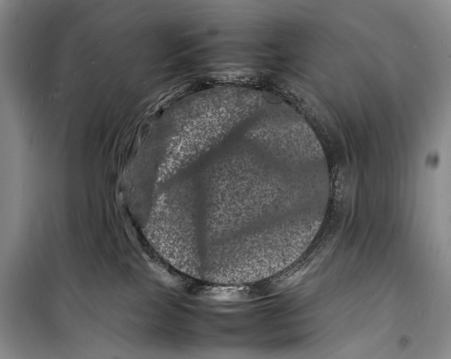 X0000098180089200805151150