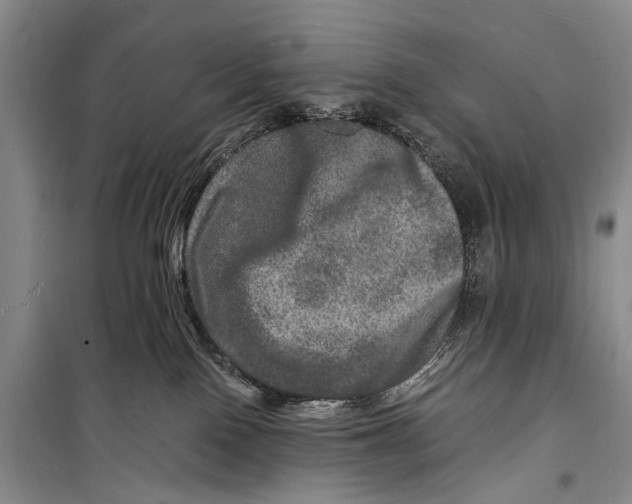 X0000098180090200805151150