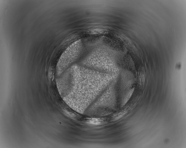 X0000098180091200805151150