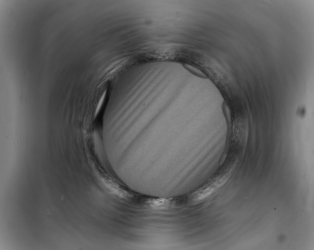 X0000098180092200805151150