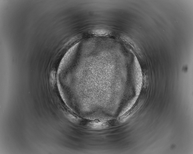 X0000098180093200805151150