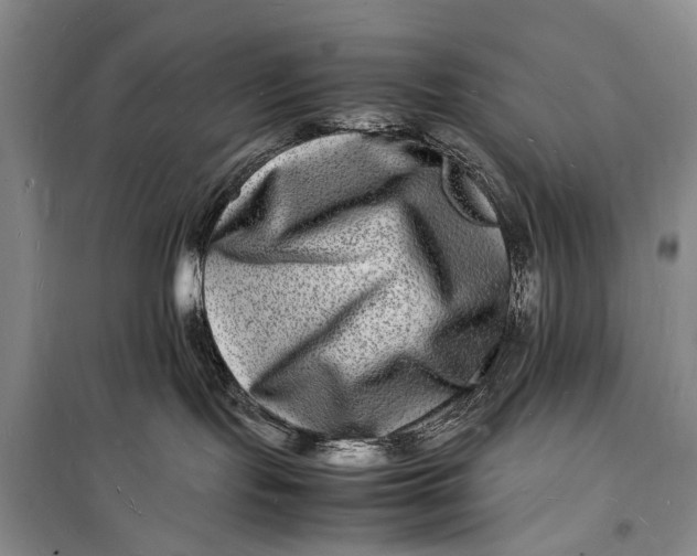 X0000098180095200805151150