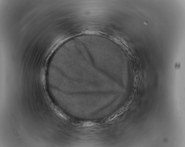 X0000098180098200805151150