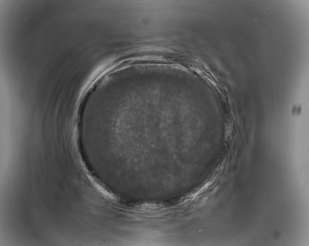 X0000098180101200805151149