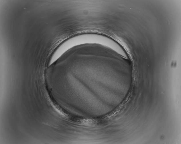 X0000098180105200805151149