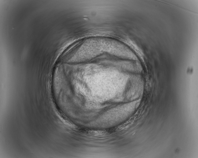 X0000098180107200805151149