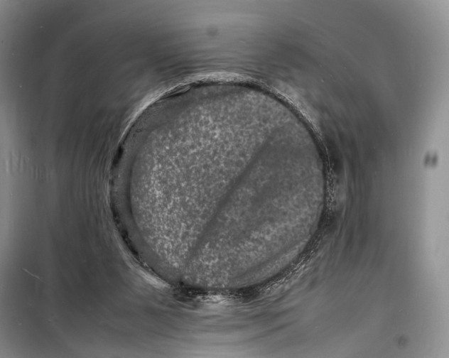 X0000098180111200805151149