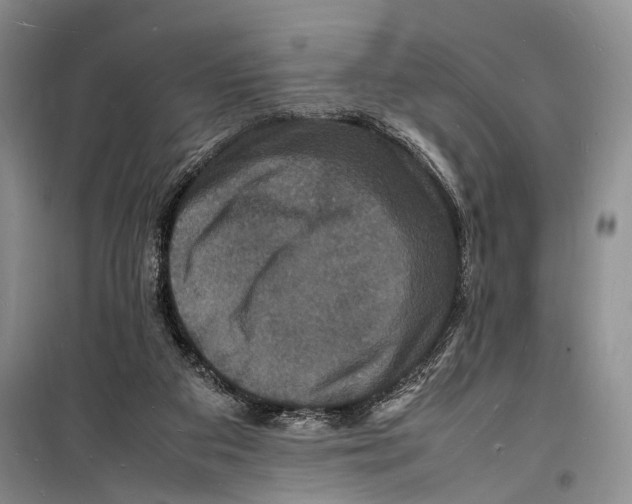 X0000098180113200805151149