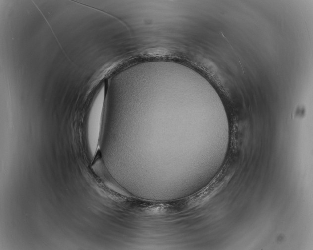 X0000098180116200805151149