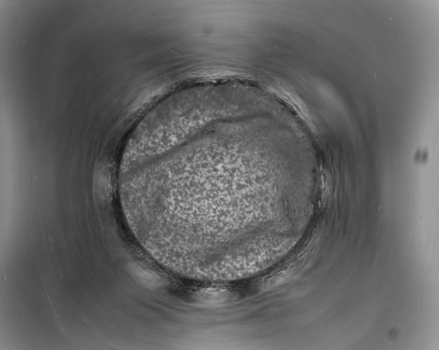 X0000098180119200805151149