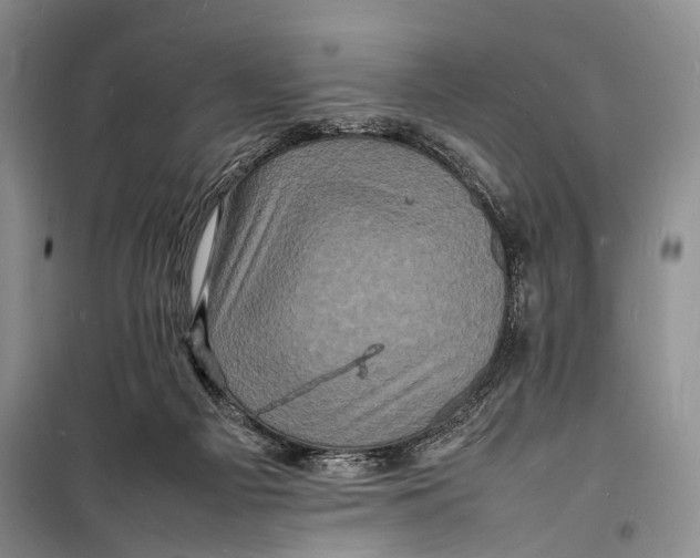 X0000098180121200805151149