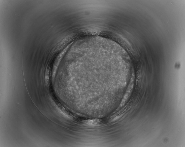 X0000098180122200805151149