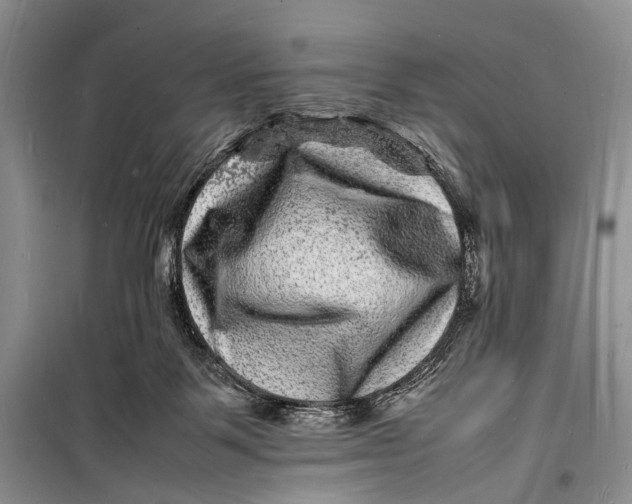 X0000098180123200805151149