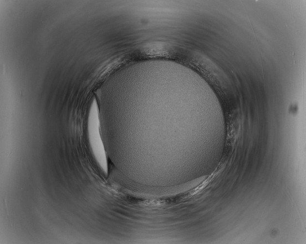 X0000098180124200805151149