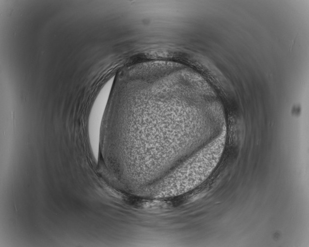 X0000098180125200805151149