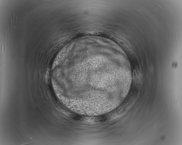 X0000098180127200805151149