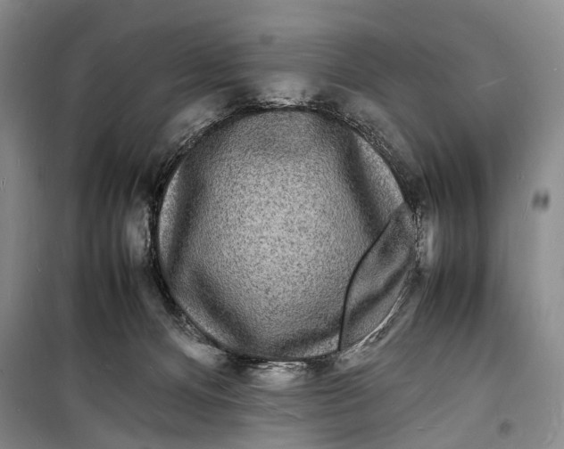 X0000098180128200805151149