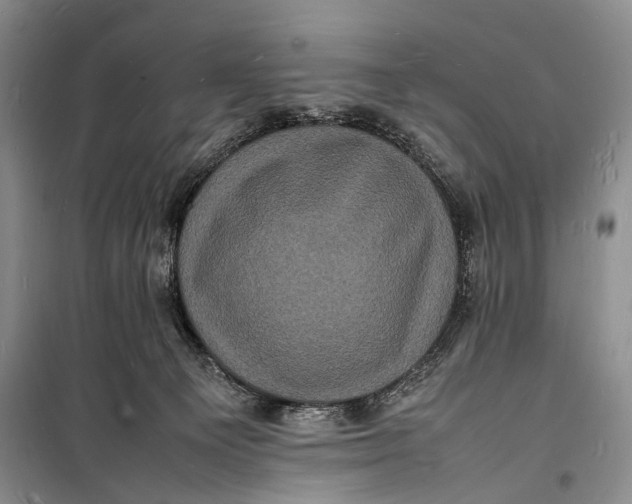 X0000098180129200805151149