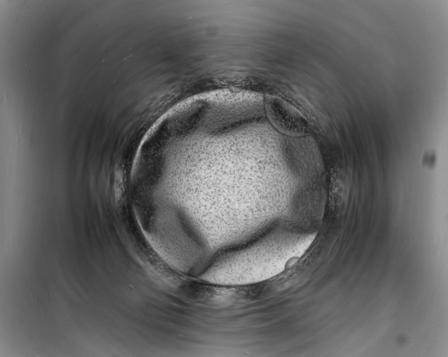 X0000098180130200805151149